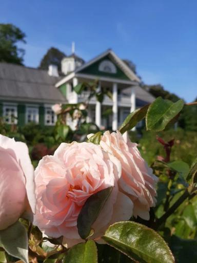 Псков - Печоры - Пушкинские горы, тур на 2 дня | Туры на Праздники Пушкинские горы (Пушгоры) | Туры на 2 дня (суббота - воскресенье) сезон 2024 - 2025