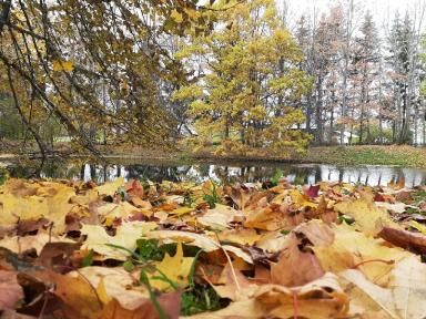 Псков - Печоры - Пушкинские горы, тур на 2 дня | Туры на Праздники Пушкинские горы (Пушгоры) | Туры на 2 дня (суббота - воскресенье) сезон 2024 - 2025