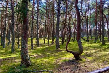 Калининград. Янтарный Вояж ОКТЯБРЬ - ДЕКАБРЬ