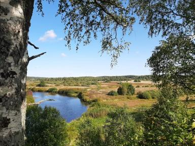 Псков - Печоры - Пушкинские горы, тур на 2 дня | Туры на Праздники Пушкинские горы (Пушгоры) | Туры на 2 дня (суббота - воскресенье) сезон 2024 - 2025