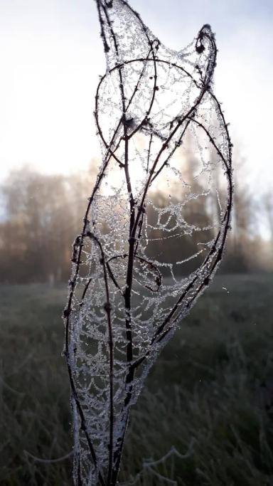 Псков - Печоры - Пушкинские горы, тур на 2 дня | Туры на Праздники Пушкинские горы (Пушгоры) | Туры на 2 дня (суббота - воскресенье) сезон 2024 - 2025